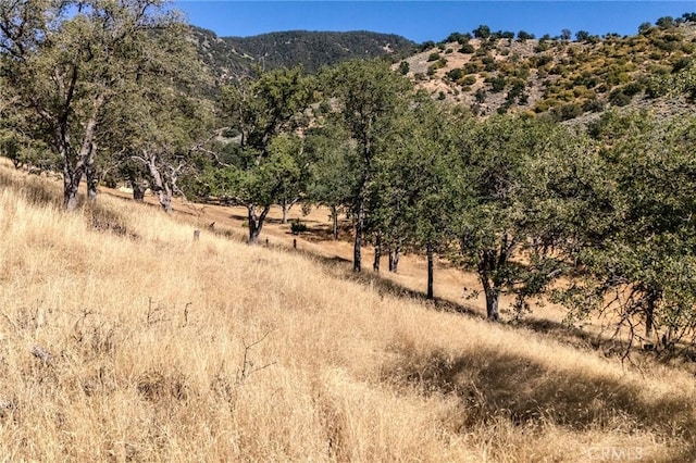 0 Armed Ct, Tehachapi, CA 93561
