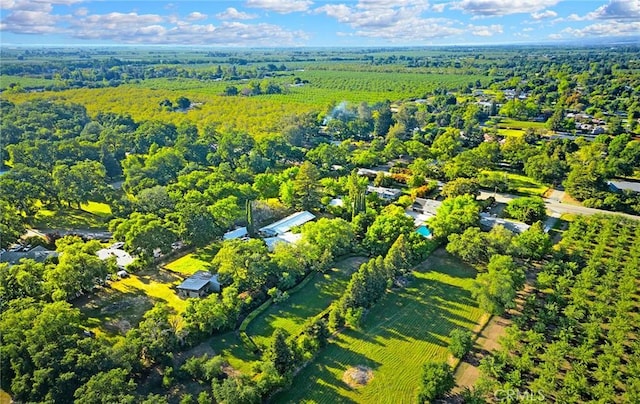 1785 Durham Dayton, Durham, CA 95938 - aerial view