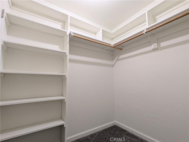 1785 Durham Dayton, Durham, CA 95938 - spacious closet with carpet flooring