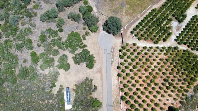 15 Via Escalon, Temecula, CA 92590