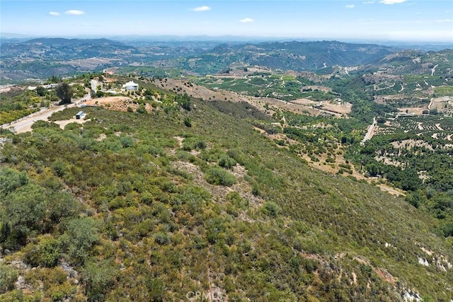 15 Via Escalon, Temecula, CA 92590 - photo 37