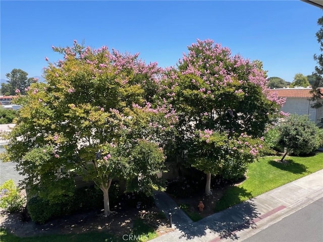 2268 Via Puerta Unit O, Laguna Woods, CA 92637 - view of property hidden behind natural elements featuring a front lawn