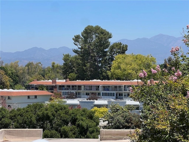 2268 Via Puerta Unit O, Laguna Woods, CA 92637 - view of mountain backdrop