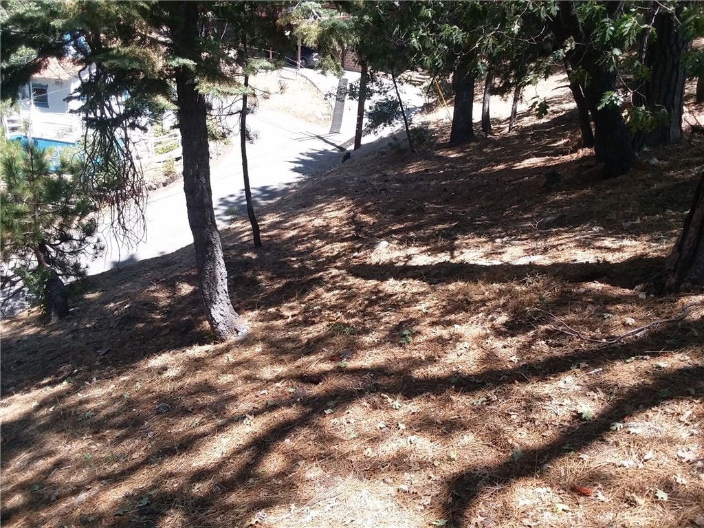 32960 Lone Pine Dr, Arrowbear, CA 92382 - photo 2