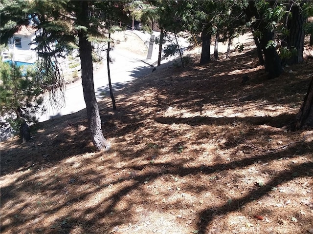 32960 Lone Pine Dr, Arrowbear, CA 92382 - photo 2