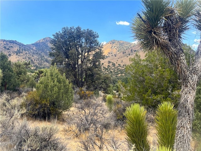 0 Pine Hollow Rd, Onyx, CA 93255