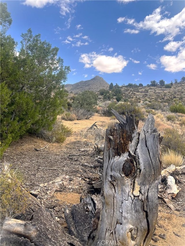 0 Pine Hollow Rd, Onyx, CA 93255