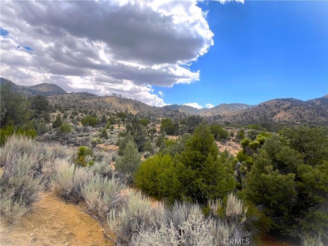 0 Pine Hollow Rd, Onyx, CA 93255