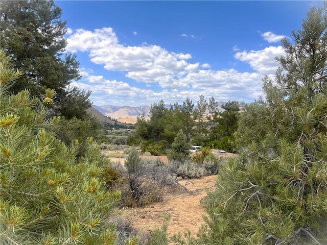 0 Pine Hollow Rd, Onyx, CA 93255