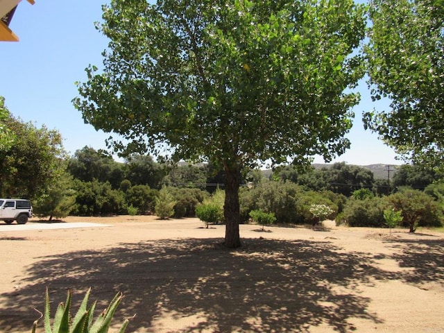 2142 Buckman Springs Rd, Campo, CA 91906 - photo 24