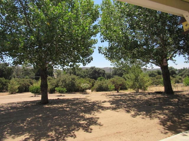 2142 Buckman Springs Rd, Campo, CA 91906 - photo 25
