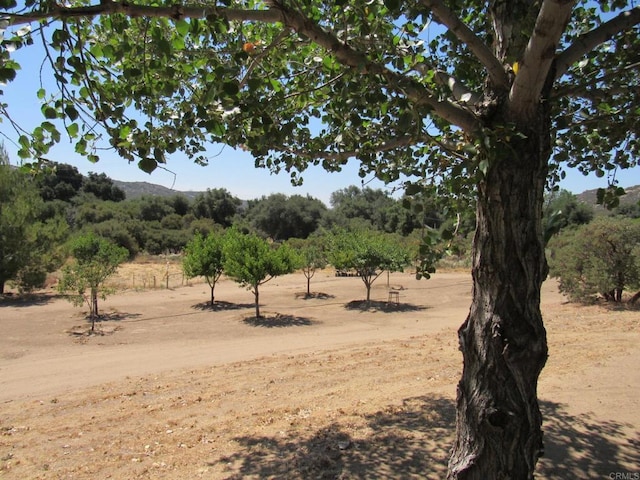 2142 Buckman Springs Rd, Campo, CA 91906 - photo 14