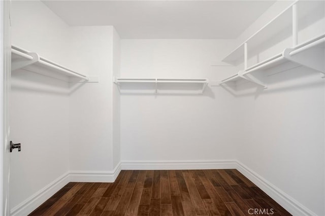 19900 Mariposa Creek Way, Porter Ranch, CA 91326 - walk in closet with dark wood finished floors
