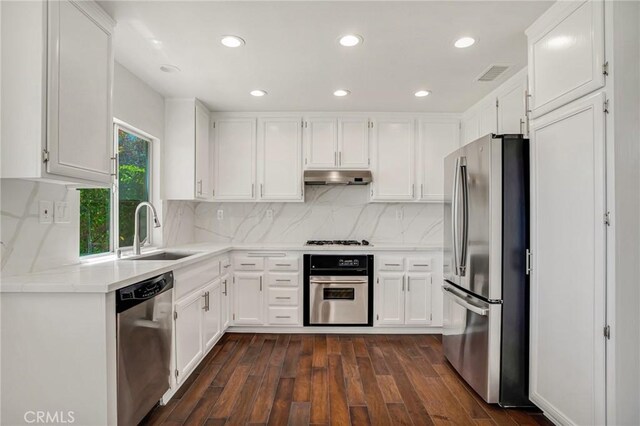 19900 Mariposa Creek Way, Porter Ranch, CA 91326 - kitchen with stainless steel appliances, under cabinet range hood, light countertops, white cabinetry, and recessed lighting