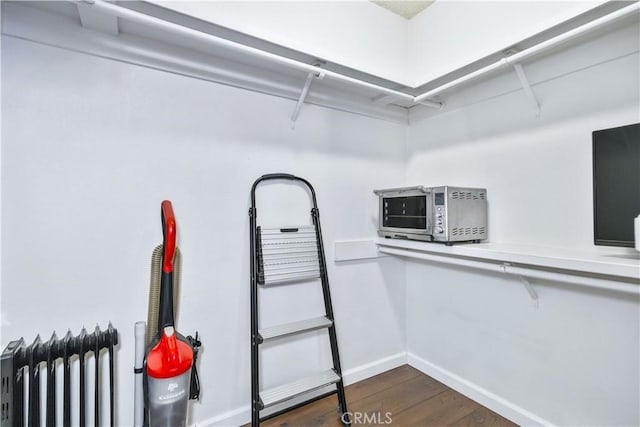 1595 15th St, Los Osos, CA 93402 - spacious closet featuring radiator heating unit and dark wood-style floors