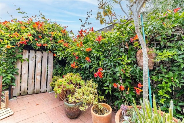 1595 15th St, Los Osos, CA 93402 - view of patio / terrace
