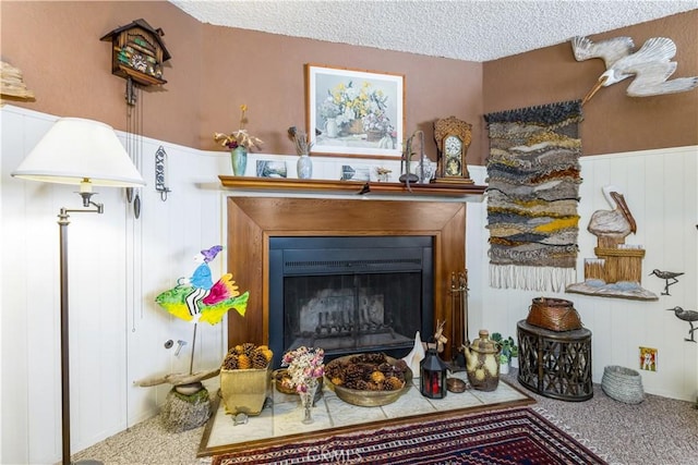 1595 15th St, Los Osos, CA 93402 - detailed view of a fireplace, a wainscoted wall, a textured ceiling, and carpet floors