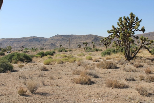 0 Minna Gombell Ln, Pioneertown, CA 92668 - photo 7