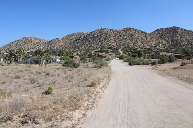 0 Minna Gombell Ln, Pioneertown, CA 92668 - photo 1