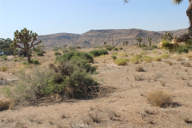 0 Minna Gombell Ln, Pioneertown, CA 92668 - photo 6