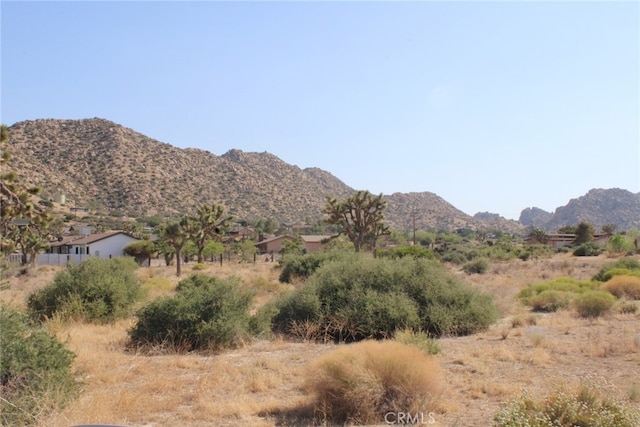 0 Minna Gombell Ln, Pioneertown, CA 92668 - photo 5