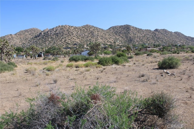 0 Minna Gombell Ln, Pioneertown, CA 92668 - photo 2