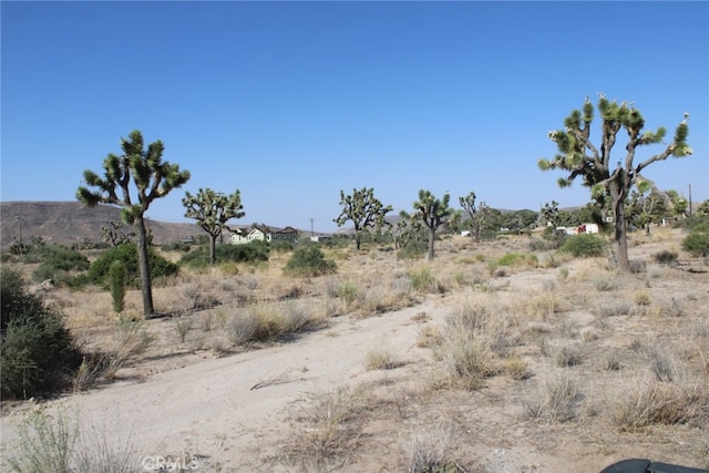 0 Minna Gombell Ln, Pioneertown, CA 92668 - photo 8