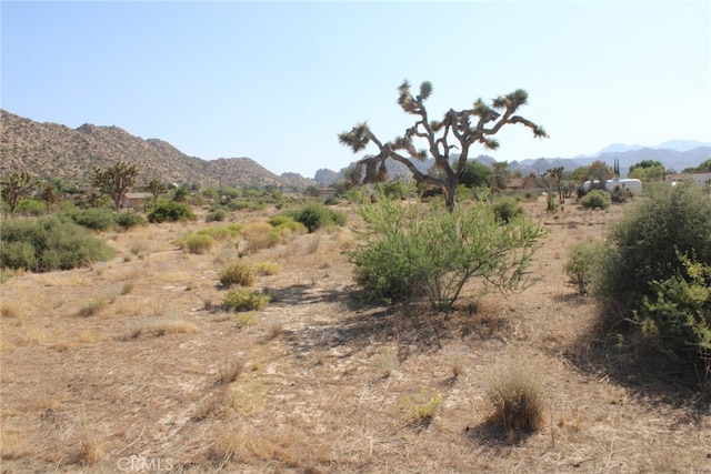 0 Minna Gombell Ln, Pioneertown, CA 92668 - photo 4