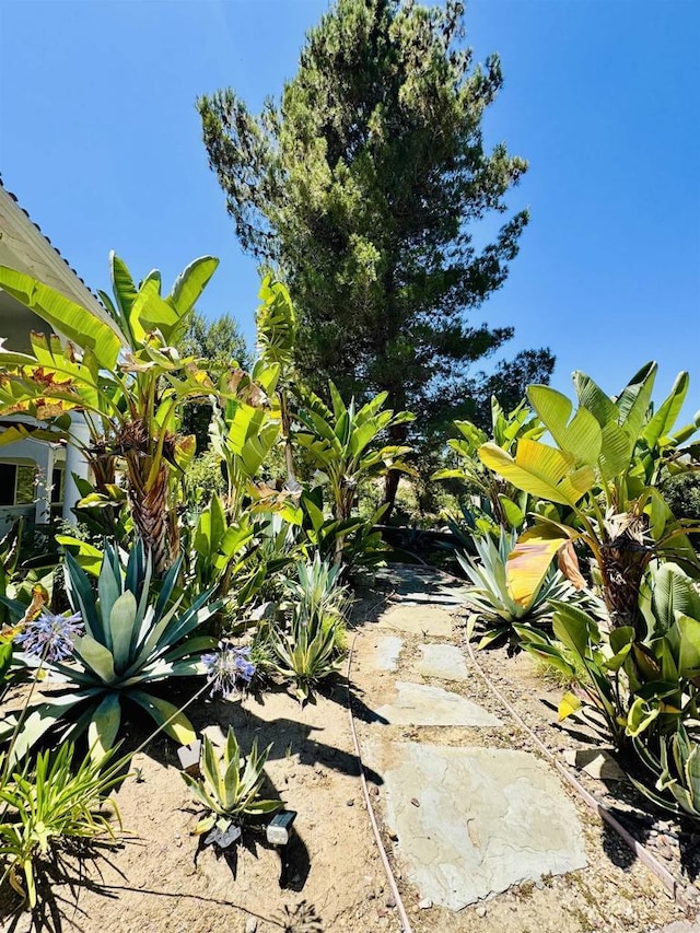 15696 Oakstand Rd, Poway, CA 92064 - view of yard