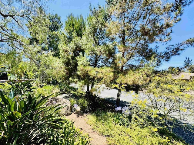 15696 Oakstand Rd, Poway, CA 92064 - view of undeveloped land