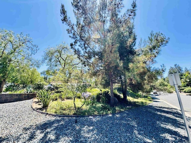 15696 Oakstand Rd, Poway, CA 92064 - view of asphalt road