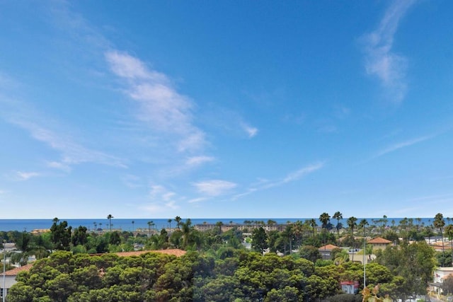 7133 Linden, Carlsbad, CA 92011 - bird's eye view of a nearby body of water