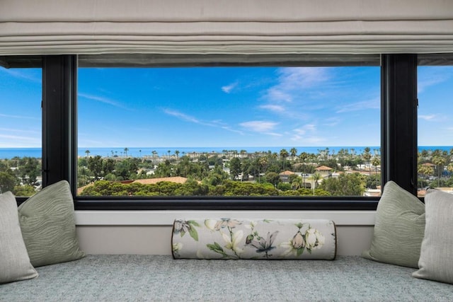 7133 Linden, Carlsbad, CA 92011 - detailed view