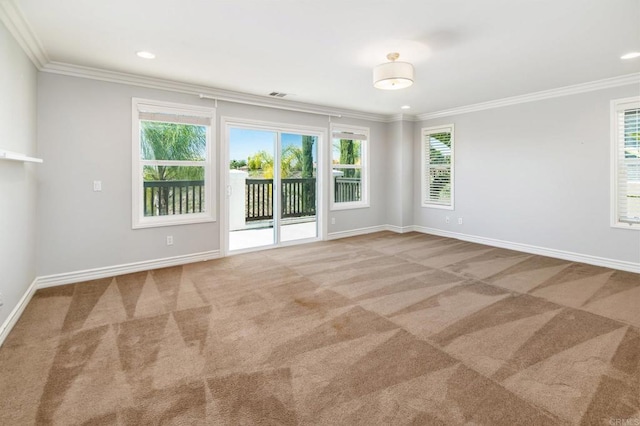 33740 Sattui St, Temecula, CA 92592 - spare room with carpet flooring, crown molding, and healthy amount of natural light