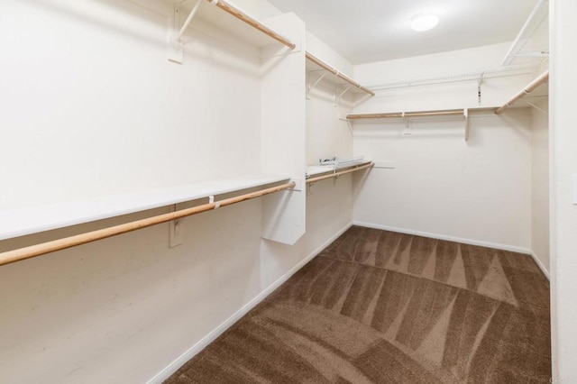 33740 Sattui St, Temecula, CA 92592 - walk in closet featuring carpet