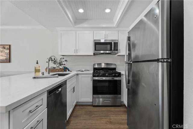 34 Carmel Ct, Laguna Beach, CA 92651 - kitchen with appliances with stainless steel finishes, a peninsula, a tray ceiling, recessed lighting, and dark wood-style floors