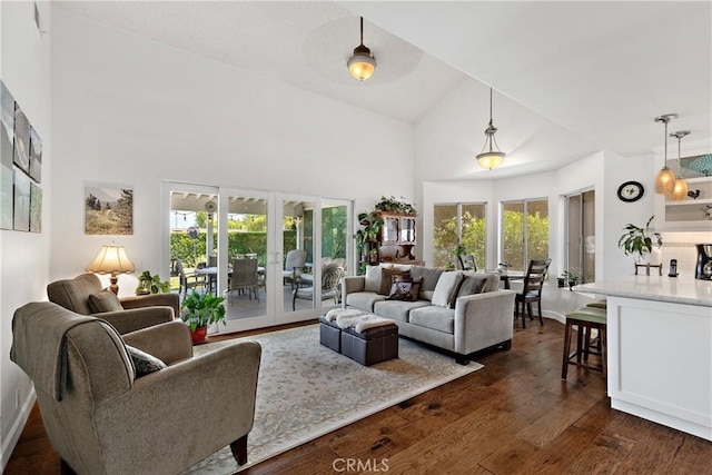 42244 Cosmic Dr, Temecula, CA 92592 - living room featuring french doors, high vaulted ceiling, and dark wood finished floors