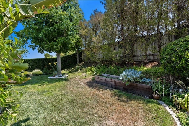 42244 Cosmic Dr, Temecula, CA 92592 - view of yard featuring a garden