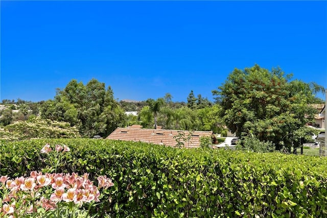 42244 Cosmic Dr, Temecula, CA 92592 - view of community sign