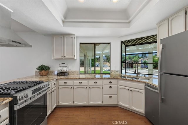 21285 Shoemaker Ln, Wildomar, CA 92595 - kitchen featuring appliances with stainless steel finishes, wall chimney exhaust hood, a tray ceiling, wood finished floors, and light stone counters