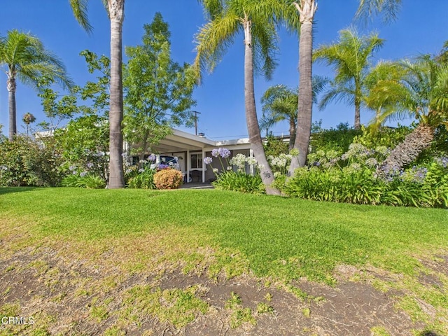 2025 N Chouteau St, Orange, CA 92865 - view of grassy yard