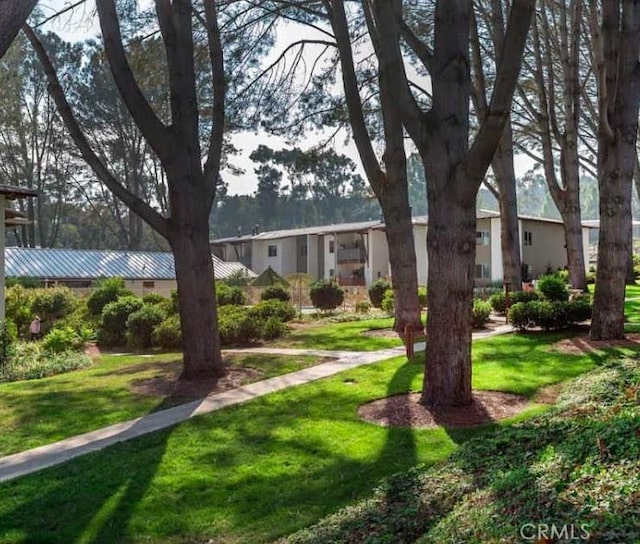 1710 S El Camino Real Unit E204, Encinitas, CA 92024 - view of front facade with a front yard and a metal roof