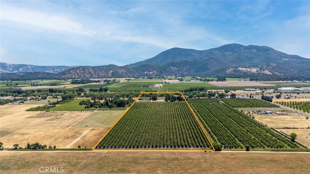 4215 Finley E Rd, Lakeport, CA 95453 - photo 8