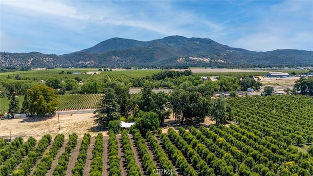 4215 Finley E Rd, Lakeport, CA 95453 - photo 11
