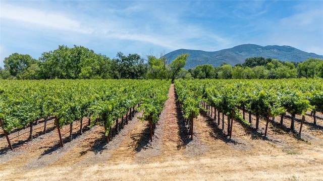 4215 Finley E Rd, Lakeport, CA 95453 - photo 9