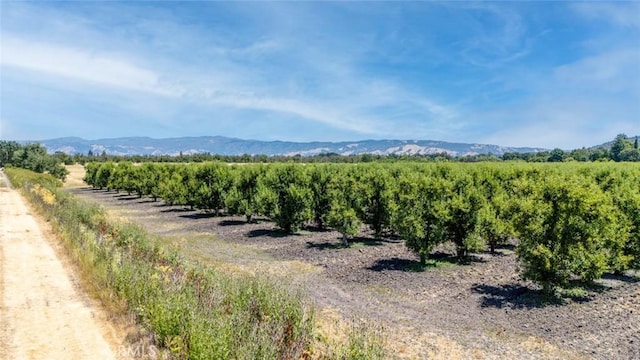 4215 Finley E Rd, Lakeport, CA 95453 - photo 17