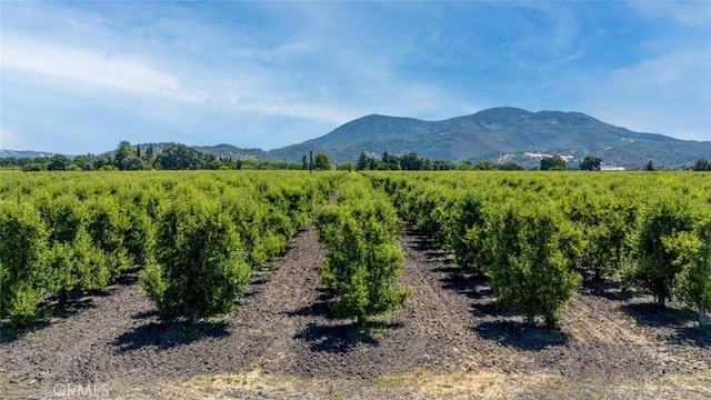 4215 Finley E Rd, Lakeport, CA 95453 - photo 13