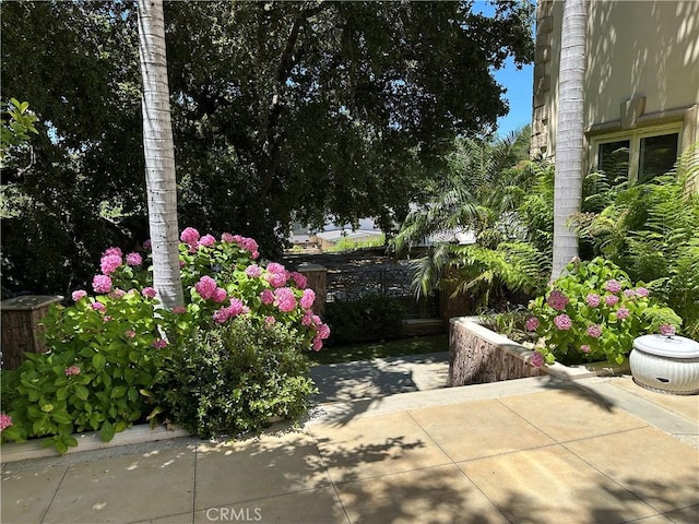 4377 Saltillo St, Woodland Hills, CA 91364 - photo 41