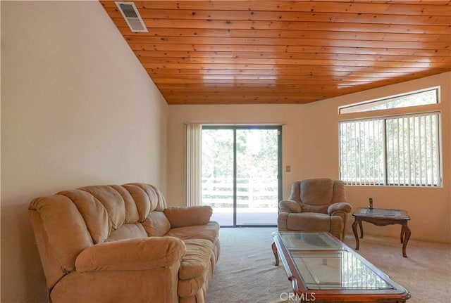 5990 Sugar Pine Dr, Coulterville, CA 95311 - photo 13