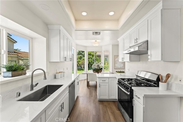 5255 La Madera Ave, El Monte, CA 91732 - kitchen featuring appliances with stainless steel finishes, under cabinet range hood, dark wood finished floors, light countertops, and white cabinetry